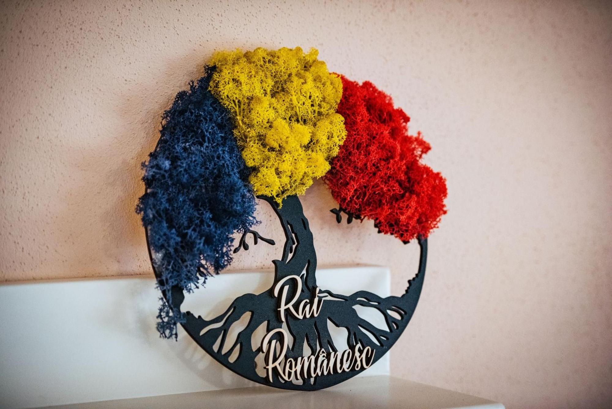 Rai Romanesc Sălişte Eksteriør bilde